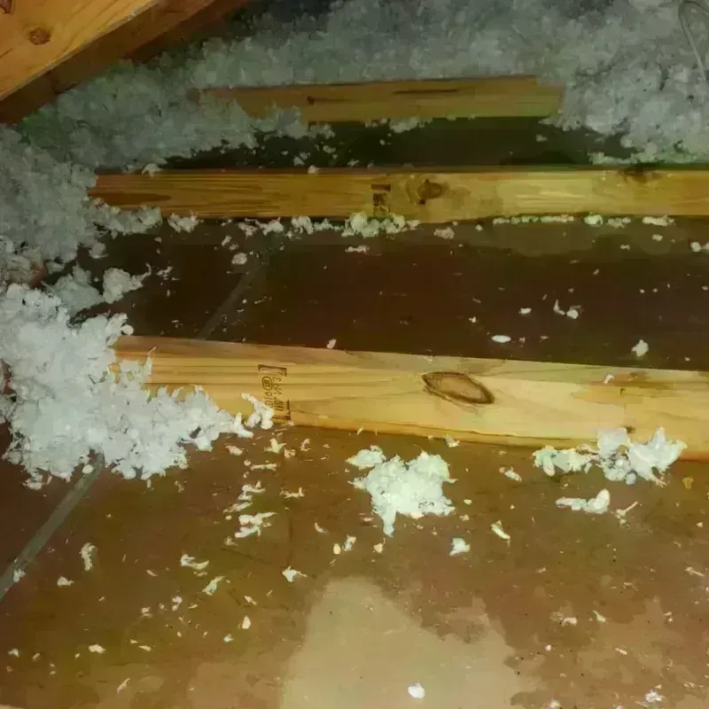 Attic Water Damage in Agua Dulce, CA